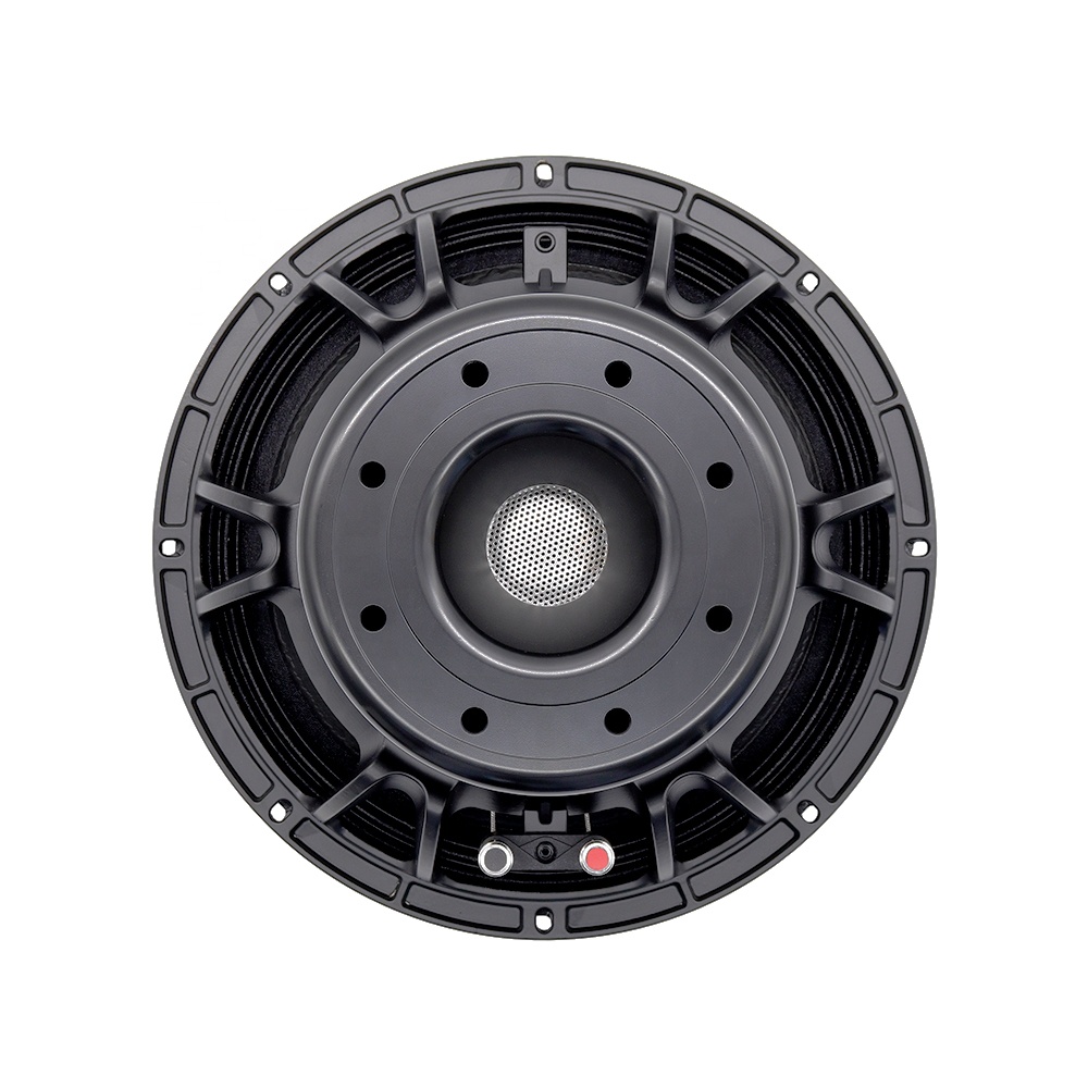 معدات صوتية احترافية 12DS، مكب - مراجعة Subwoofer وسعره