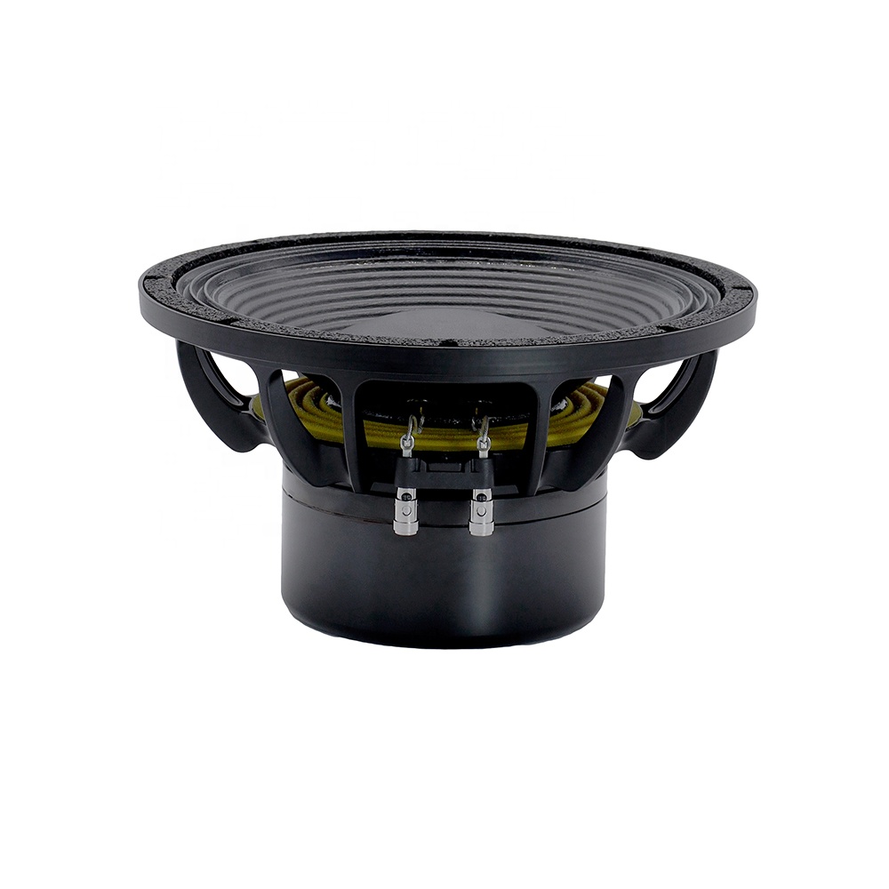 معدات صوتية احترافية 12DS، مكب - مراجعة Subwoofer وسعره