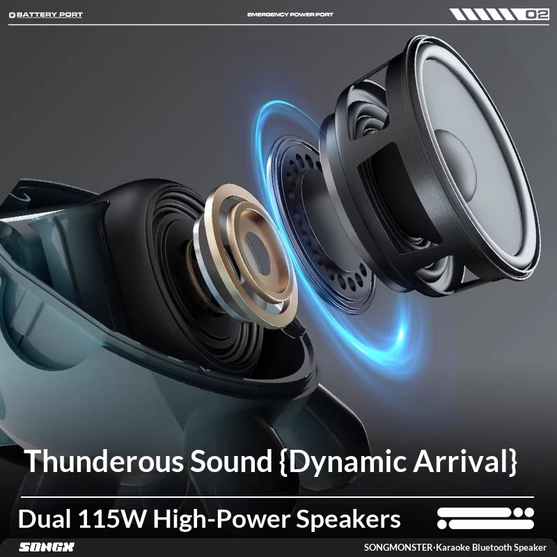 SONGX الصوت المزدوج ميكروفون D - مراجعة Full Range Speaker وسعره